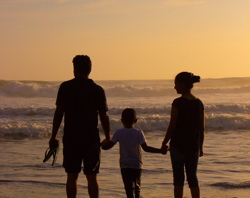 Role avocat postulante droit famille