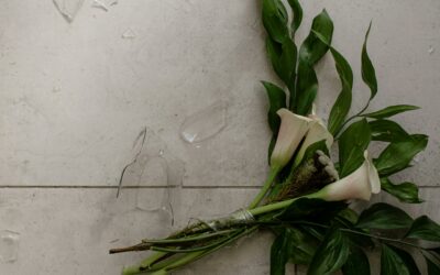 Divorce : est-il obligatoire d’avoir un avocat ?